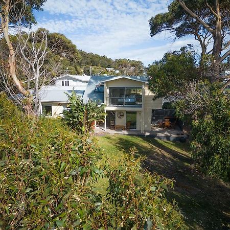 Cod Rock Point Villa Bicheno Exterior photo